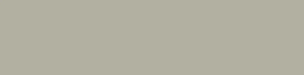 005-W.webp